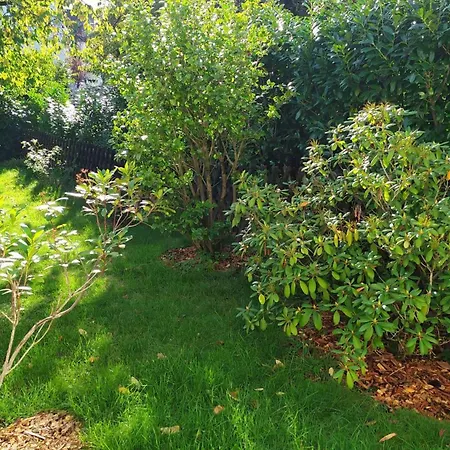 Haus-im-garten-in-der-naehe-von-koeln-messe