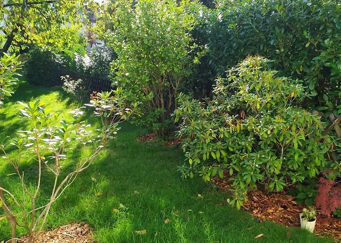 Haus-im-garten-in-der-naehe-von-koeln-messe